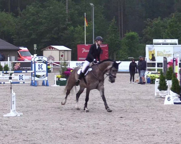 Reitturnier Ladelunder Springtage 2024