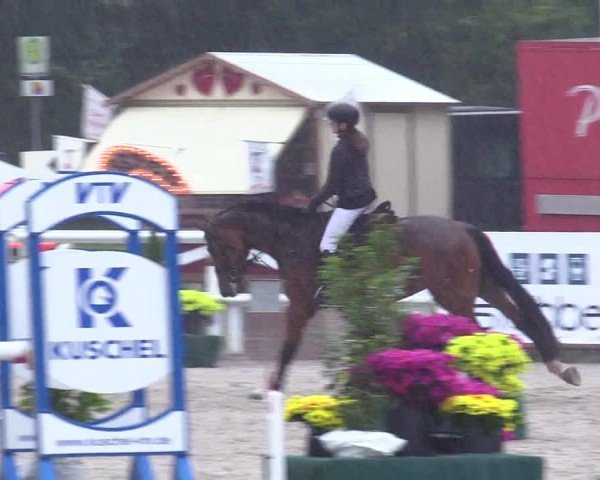 Reitturnier Ladelunder Springtage 2024