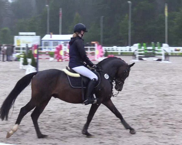 Reitturnier Ladelunder Springtage 2024
