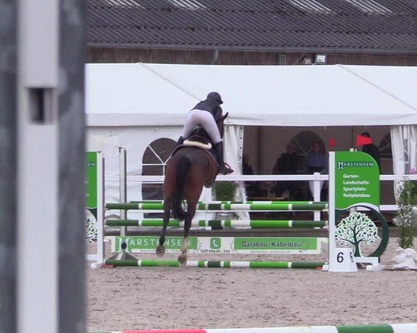 Reitturnier Ladelunder Springtage 2024