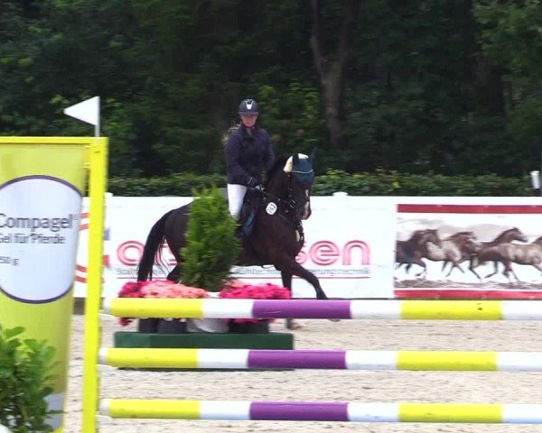 Reitturnier Ladelunder Springtage 2024