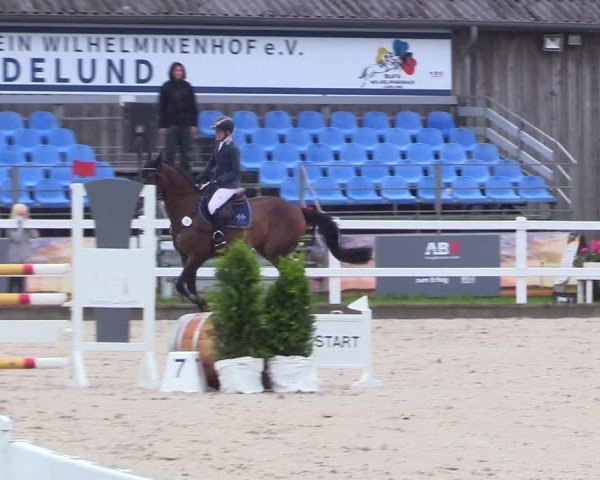 Reitturnier Ladelunder Springtage 2024