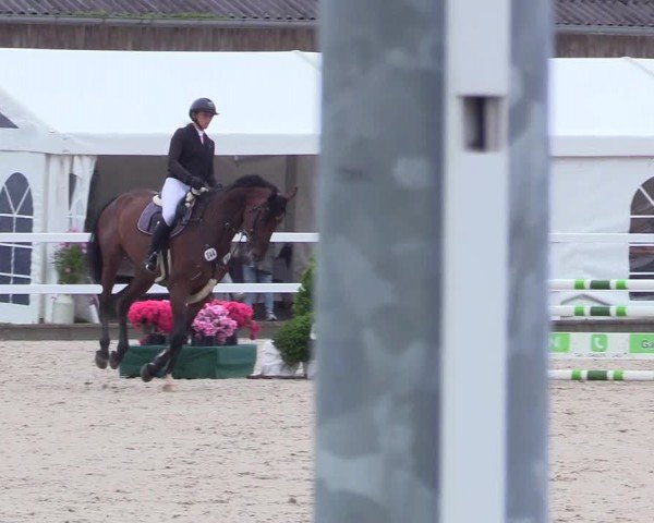 Reitturnier Ladelunder Springtage 2024