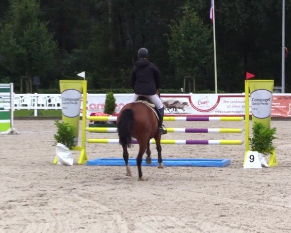 Reitturnier Ladelunder Springtage 2024