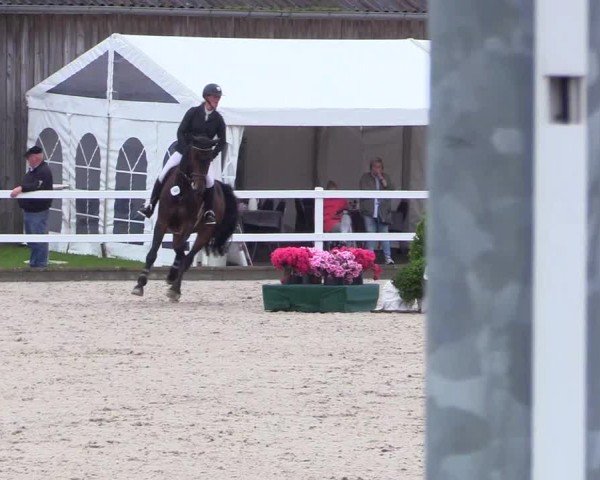 Reitturnier Ladelunder Springtage 2024