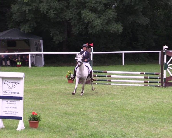 Reitturnier Gorgast 2024