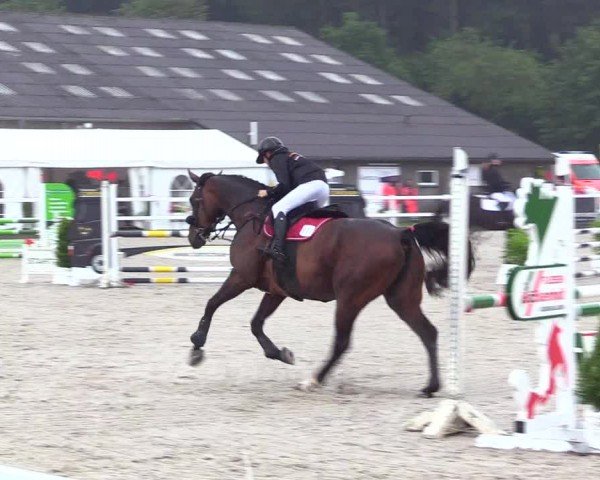 Reitturnier Ladelunder Springtage 2024