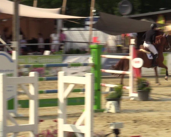 Reitturnier Olfen-Vinnum 2024