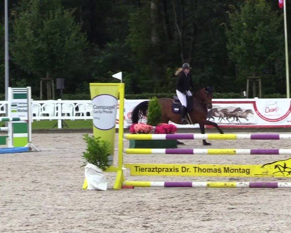 Reitturnier Ladelunder Springtage 2024