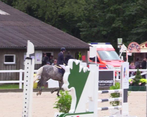 Reitturnier Ladelunder Springtage 2024