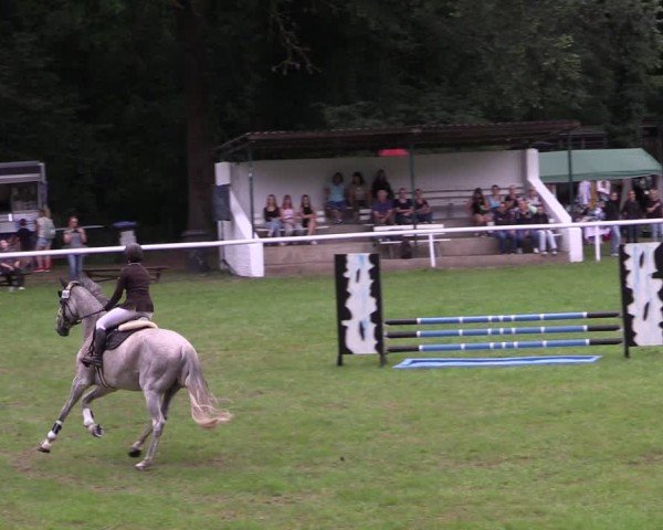 Reitturnier Gorgast 2024