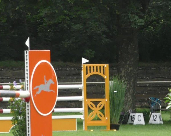 Reitturnier Hannover/Reiterstadion 2024