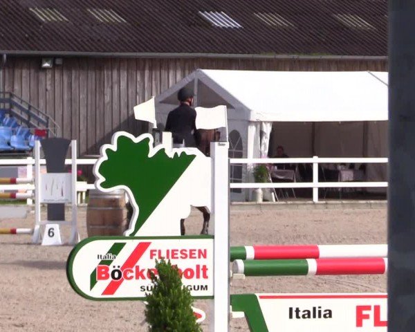 Reitturnier Ladelunder Springtage 2024