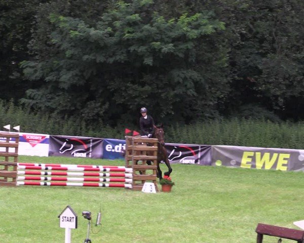 Reitturnier Gorgast 2024