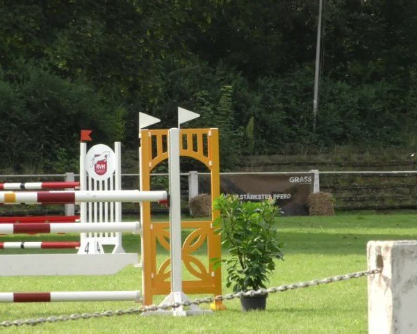 Reitturnier Hannover/Reiterstadion 2024