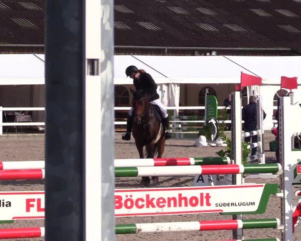 Reitturnier Ladelunder Springtage 2024