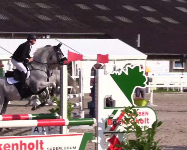 Reitturnier Ladelunder Springtage 2024