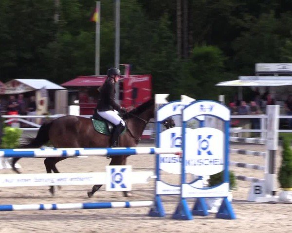 Reitturnier Ladelunder Springtage 2024