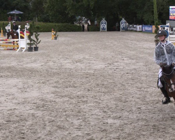 Reitturnier Vlotho-Exter 2024