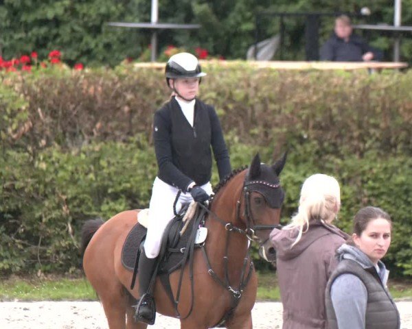Reitturnier Vlotho-Exter 2024
