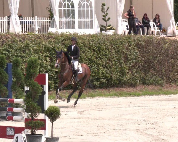 Reitturnier Vlotho-Exter 2024