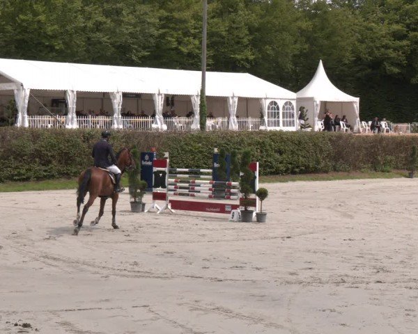 Reitturnier Vlotho-Exter 2024