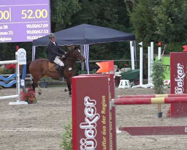 Reitturnier Bad Wildungen 2024