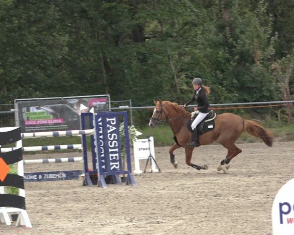 Reitturnier Bad Wildungen 2024