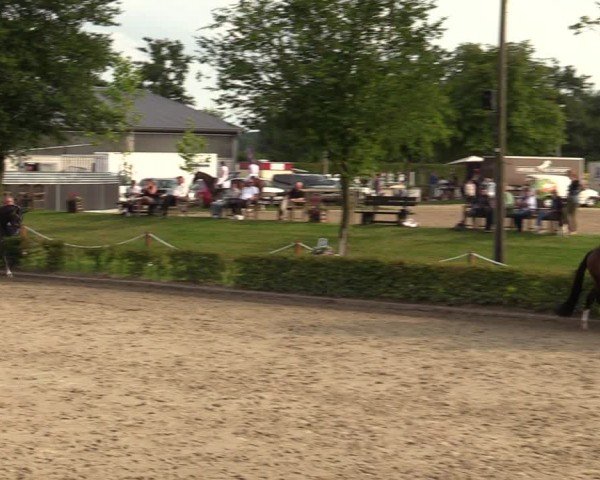 Reitturnier Olfen-Vinnum 2024
