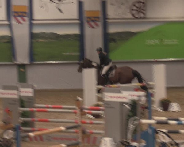 Reitturnier Legden 2021