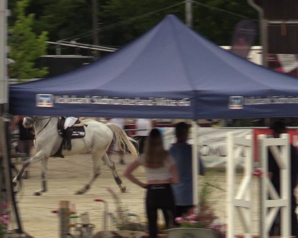 Reitturnier Olfen-Vinnum 2024
