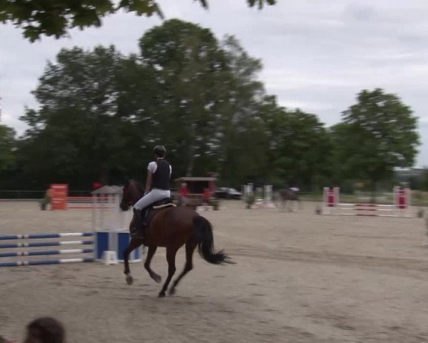 Reitturnier Rot am See Musdorf 2024