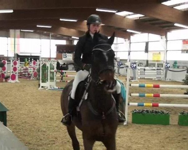 I. Hallen Youngster Turnier des RuF Rhede-Krommert im Reitersportzentrum Gerd Koenemann 2013