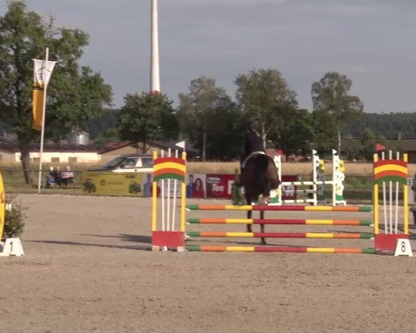 Reitturnier Rot am See Musdorf 2024