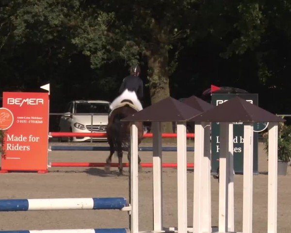 Reitturnier Rot am See Musdorf 2024