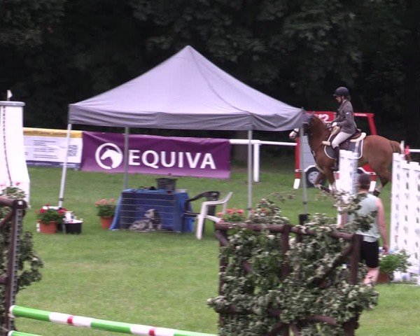 Reitturnier Gorgast 2024