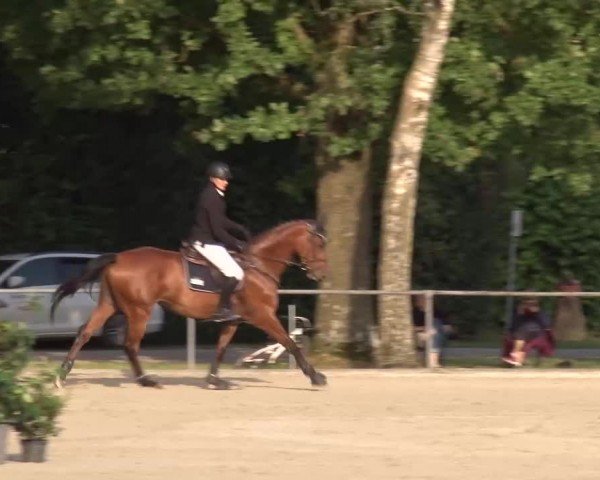 Reitturnier Rot am See Musdorf 2024