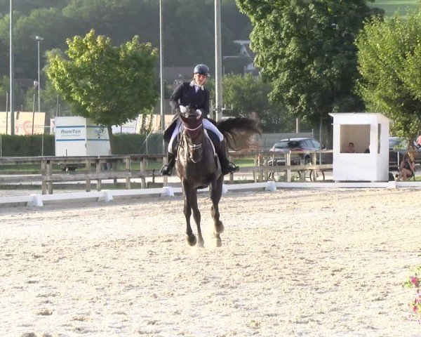 Reitturnier Balsthal 2024