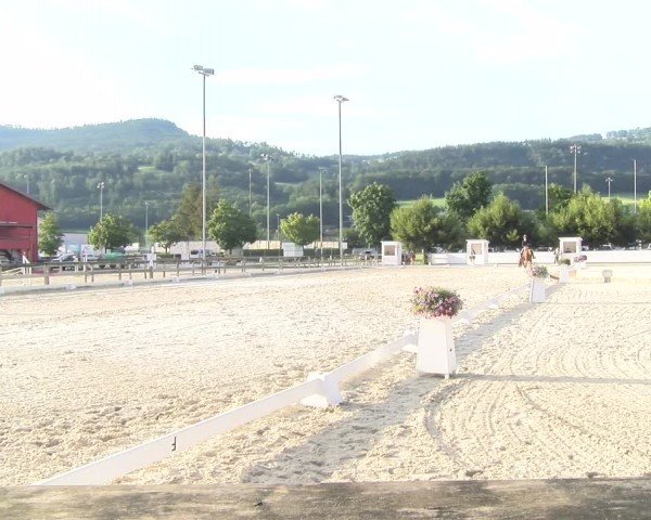 Reitturnier Balsthal 2024