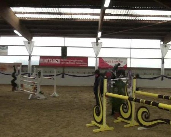 I. Hallen Youngster Turnier des RuF Rhede-Krommert im Reitersportzentrum Gerd Koenemann 2013
