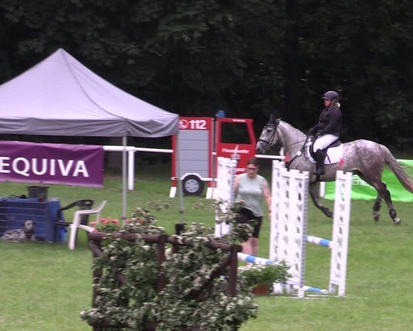 Reitturnier Gorgast 2024