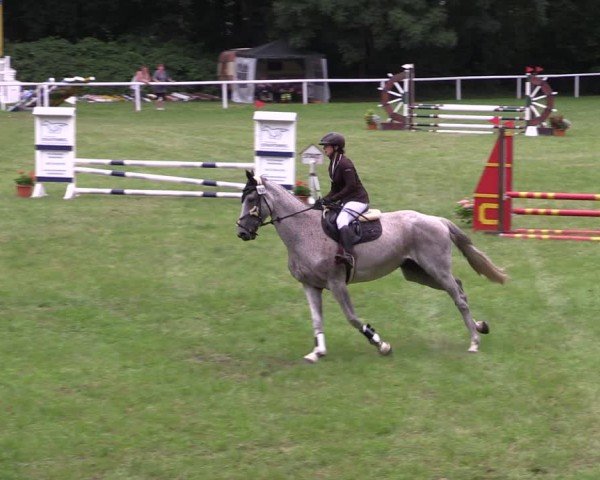 Reitturnier Gorgast 2024