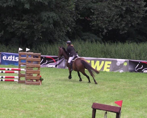 Reitturnier Gorgast 2024