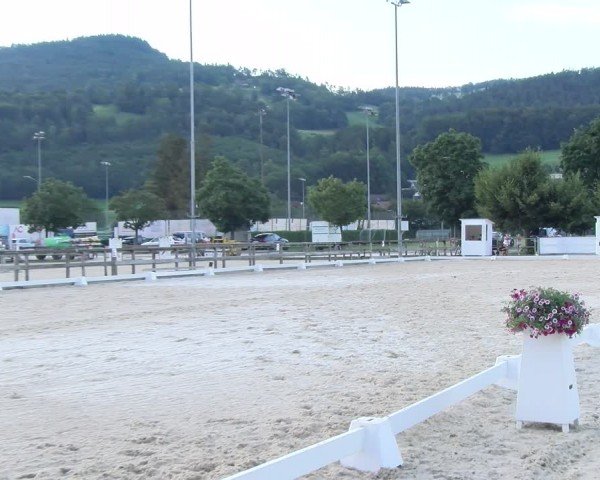 Reitturnier Balsthal 2024