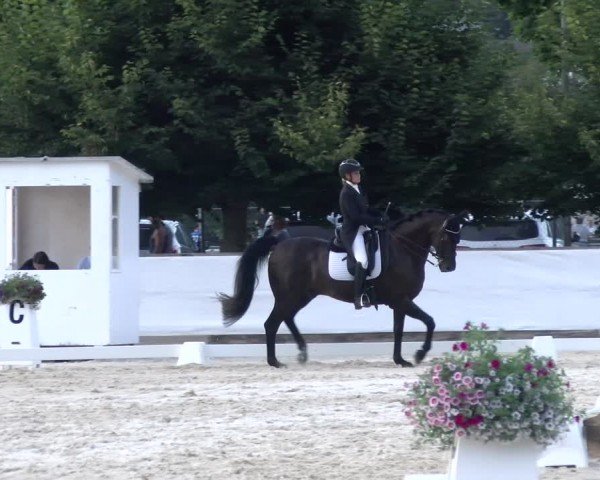 Reitturnier Balsthal 2024