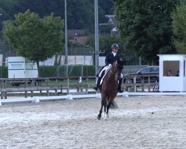Reitturnier Balsthal 2024