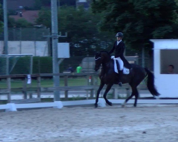 Reitturnier Balsthal 2024