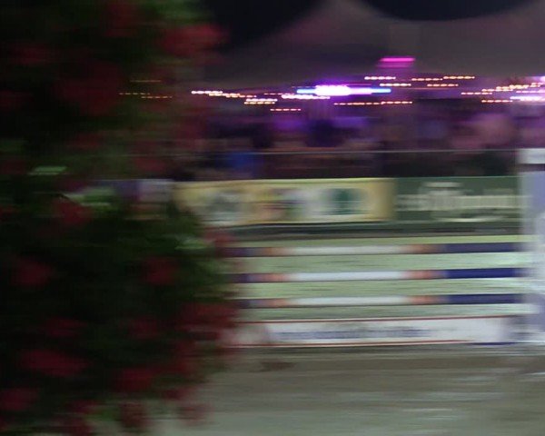 Reitturnier Olfen-Vinnum 2024