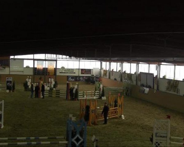 Ravensberger Pferdetage 2013