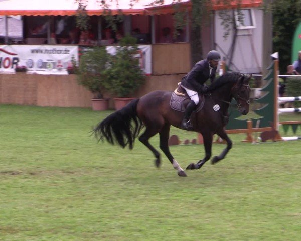 Reitturnier Etingen 2024